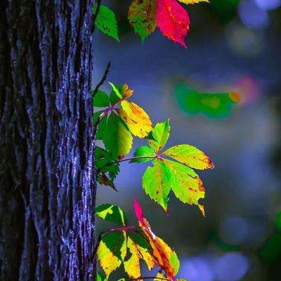 AG官方平台下载地址手机app下载